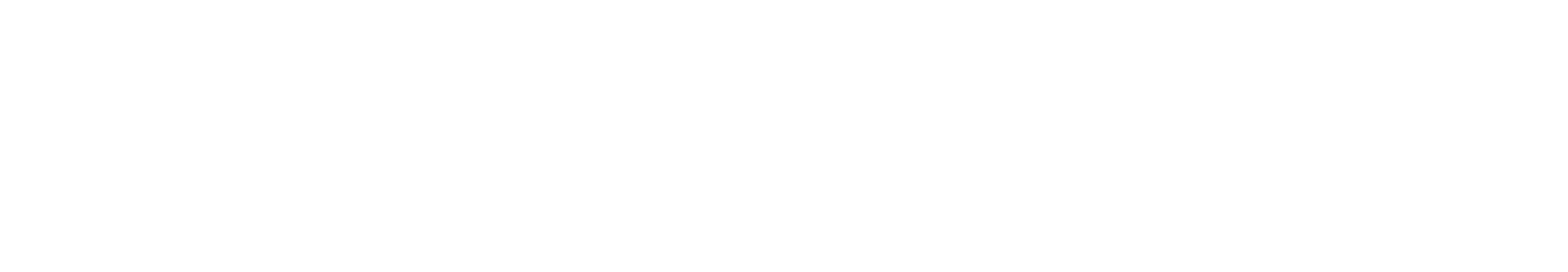 Somadatta, Soluções corporativas em TI